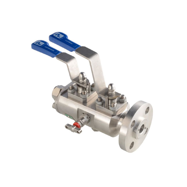 Double Block And Bleed Schematic